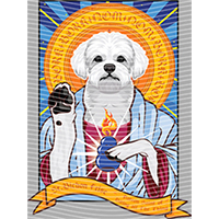 Animal Integration-DW 1113